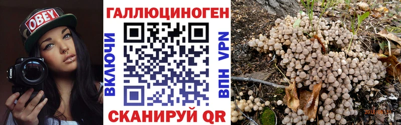 Псилоцибиновые грибы мицелий Серов